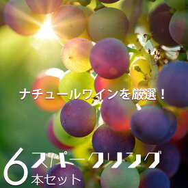 ナチュール「スパークリングワイン」NO.1【ワインセット：泡6本】