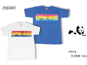 enjoi/GWC/TVc//gbvX/Ap/p_/horizon/XP[g{[h/SK8/[֑Ή/yV