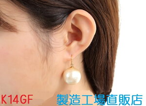 AM[ΉsAX 14GF S[htBh Rbgp[tbNsAX H꒼21Zbg 14GF ́@Ep@Ǝ@w@v[g@Mtg@{@ChW