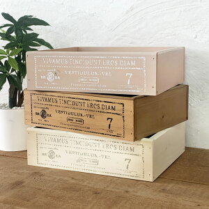 ؔ [{bNX AeB[N Jg[{bNXNo.19   WOOD BOX K[fjO₨ᔠ C ubN [XgbJ[ BREAuA