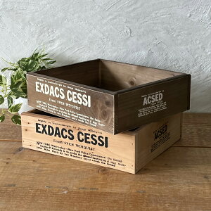 ؔ [{bNX AeB[N 2ʃvg  WOOD BOX K[fjO₨ᔠ ubN [XgbJ[ BREAuA