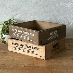 ؔ [{bNX AeB[N 2ʃvg  WOOD BOX K[fjO₨ᔠ ubN [XgbJ[ BREAuA