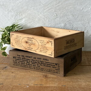 ؔ ؔ [{bNX AeB[N uE 2ʃvg  WOOD BOX K[fjO₨ᔠ [XgbJ[