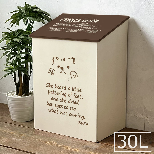 ゴミ箱 おしゃれ 蓋つき 木製 ダストボックス 30L用 ツートン ダークブラウン 犬 猫 シリーズ 日本製 BREAブレア