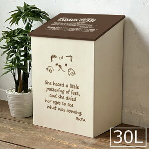 S~  W ؐ 킢 _Xg{bNX 30Lp c[g  L V[Y { BREAuA