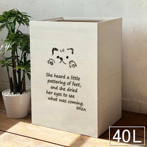 ؐ 40L 45L S~  _Xg{bNX  L V[Y BREAuA