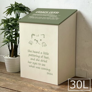 S~  W ؐ 킢 _Xg{bNX 30Lp c[g  L V[Y { BREAuA