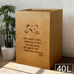 ؐ 40L 45L S~  _Xg{bNX  L V[Y BREAuA