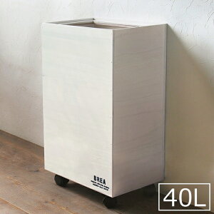  ؐ S~ _Xg{bNX LX^[t 40L 45L _[NuE zCg Vv BREAuA