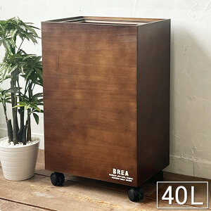  ؐ S~ _Xg{bNX LX^[t 40L 45L _[NuE zCg Vv BREAuA