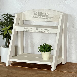 AeB[N v^[ _zCg 2i ԑ t[X^h v^[X^h ؐ jO C ubN