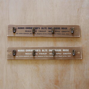  ؐ AeB[NtbN36cm Ǌ| R[gnK[ R[g| EH[tbN BREAuA