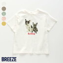 楽天市場 ブランド Breeze F O Online Store 楽天市場店