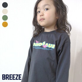 【SALE_33%OFF】恐竜バックプリントTシャツ ▽▽ 男の子 BREEZE ブリーズ 子供服 ブランド キッズ ベビー ロンT 長袖 Tシャツ トップス おしゃれ かっこいい 春服 春 春物 エフオー FO △△ j106824［返品不可］