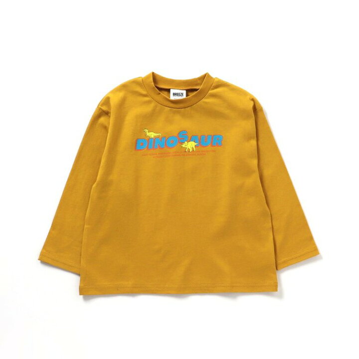 楽天市場】【SALE_40%OFF】恐竜バックプリントTシャツ ▽▽ 男の子 