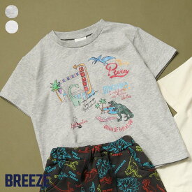 【CP】ダイナソーらくがきTシャツ ▽▽ 男の子 BREEZE ブリーズ 子供服 ブランド キッズ ベビー 半袖 Tシャツ トップス おしゃれ かっこいい 夏服 夏 夏物 エフオー FO △△ j207634