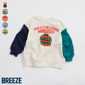 【メルマガ】【10％OFFクーポン】【SALE_37%OFF_1/29(木)午前9:59まで】【ポイント10倍】グラフィックバリエーショントレーナー ▽▽ 男の子 BREEZE ブリーズ 子供服 キッズ ベビー スウェット トップス 長袖 恐竜 冬 エフオー FO △△ j511895［返品不可］