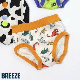 BOYSブリーフパンツ ▽▽ 綿100% 男の子 BREEZE ブリーズ 子供服 キッズ ベビー ボクサーパンツ 下着 恐竜 車 春 エフオー FO △△ j151016