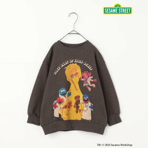 yVzSESAME_STREET_R{g[i[_N  100% j̎q ̎q jZbNX p.premier v~G q LbY xr[ XEFbg gbvX  G NbL[X^[ ~ GtI