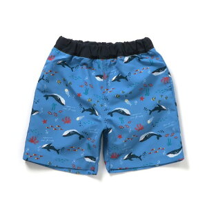 ySALE_50%OFFzTt@J[EC`[tEbggNX  j̎q AvN[ q LbY xr[ XCEFA C V v[  NW bg   