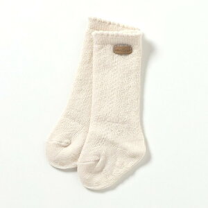 y10%OFFN[|z҂݃xr[nC\bNX  ̎q AvN[ q LbY  C  킢 oY j v[g H GtI[ FO  v454925