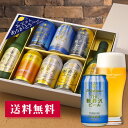 父の日 ビール プレゼント 遅れてごめんね! ギフト 送料無料 飲み比べ クラフトビール 限定 詰め合わせ 軽井沢ビール 清涼飛泉入り 330ml瓶×2本 35...