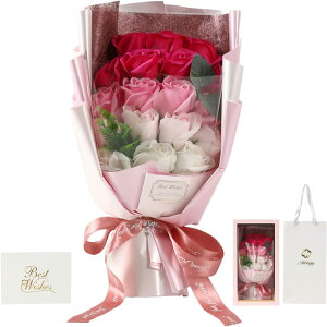 yubNtCf[ 10OFFN[|z Moluppy \[vt[ ԑ o 18{ ܕt {bNXt Of[V    sN IW t[\[v Mtg v[g  j 