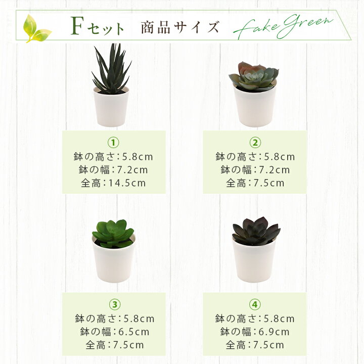 楽天市場】5点セット フェイクグリーン ミニ 人工観葉植物 人工多肉 