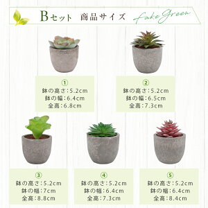 5_Zbg tFCNO[ ~j lHϗtA lHA ϗtA CeA O[ bsv   ItBX  gC  tFCN  ~j plants O[ 