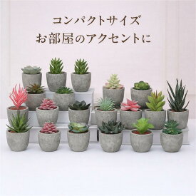 5点セット フェイクグリーン ミニ 人工観葉植物 人工多肉植物 観葉植物 インテリア グリーン お世話不要 おしゃれ お洒落 オフィス 室内 トイレ 装飾 フェイク おしゃれ ミニ plants グリーン デスク 卓上 多肉植物 室内 植物