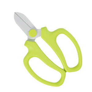 Iׂ3F XpƐ؂ 65Mn| Ԃ΂ ΂  ԋ Ԑ؂΂ nT~  ͂ | K[fjO K[fjOnT~ |͂ ؓ  ؉ 킢