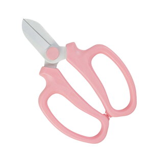 Iׂ3F XpƐ؂ 65Mn| Ԃ΂ ΂  ԋ Ԑ؂΂ nT~  ͂ | K[fjO K[fjOnT~ |͂ ؓ  ؉ 킢