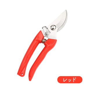 【元花屋オーナー推薦】 選べる6色 剪定ばさみ 園芸用ハサミ 枝切りはさみ 小型 軽量 安全ロック付 女性 握りやすい ステンレス 園芸ばさみ 剪定はさみ 枝切挟 ガーデニングハサミ 家庭菜園