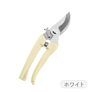 y}\ 5OFFN[|z yԉI[i[Ez Iׂ6F ΂ |pnT~ }؂͂ ^ y SbNt  ₷ XeX |΂ 