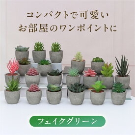 5点セット フェイクグリーン ミニ 人工観葉植物 人工多肉植物 観葉植物 インテリア グリーン お世話不要 おしゃれ お洒落 オフィス 室内 トイレ 装飾 フェイク おしゃれ ミニ plants グリーン デスク 卓上 多肉植物 室内 植物