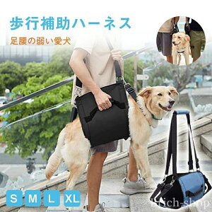 yzlŒS nr tgn[lX ԏ悹 gC⏕ T|[g Q  s⏕ Vn[lX ⏕n[lX V pi