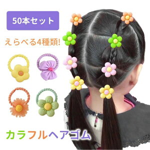 yzw ۈ牀 ct S ɂ50{ S Jt   xr[ LbY