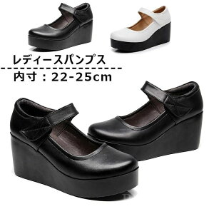 yzq[7cm 26cm 22 傫TCY TCY RtH[gV[Y [q[  ₷ fB[X C