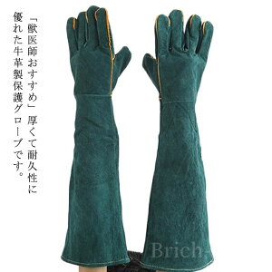 yz60cm Q쏜  K[fjO O[u L ϋv bt ܐ؂ ~ ঒  BBQ v