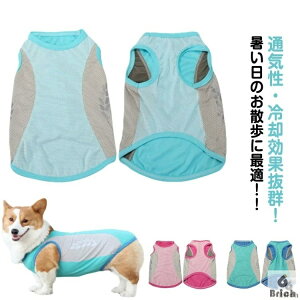 yzЂ  ⊴ bV ^Ngbv p u p 8XL-11XL  ĕ ^ G炵 ybgEFA CM xXg N[xXg MǑ΍