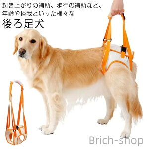 yz v[g s ړ U ^ pi s⏕ 둫 dog hbO Ȃ ^ ^ ȒP K  PApi ⏕ ^ V ybg p  n[lX n