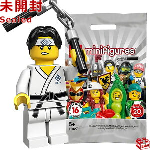 71027-10 S LEGO ~jtBMA V[Y20 ƁbLEGO Minifigures Series20 Martial Arts Boy