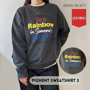 y40OFFzPigment Sweatshirt 3 XEFbg g[i[ fB[X  fB[XEFA gbvX 傫 I[o[TCY rbOVGbg I[o[VGbg Rbg 100  JWA