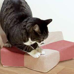 aOrA K{X^[ xbg^܌NbV GBS-01