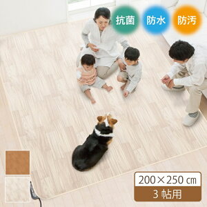 aOrA hJ[ybg ؖ 200×250cm 3p AHW-1003HH