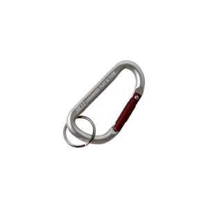 �y���[���։z�����Y�� SK11 �A���~�J���r�i SAC-550B �V���o�[