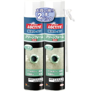 wPWp LOCTITE AE^ O[tH[ rbO 570g×2{g