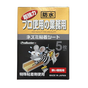 SHIMADA V}_ lY~SV[g ԗp 5