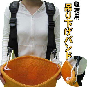 F{X np ݂艺oh t[TCY ʎ