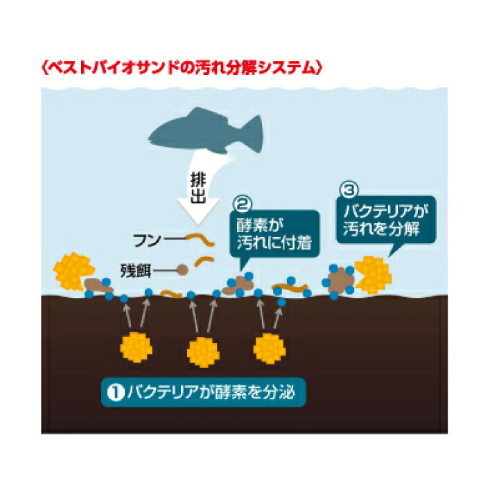 市場 ジェックス Gex ベストサンド